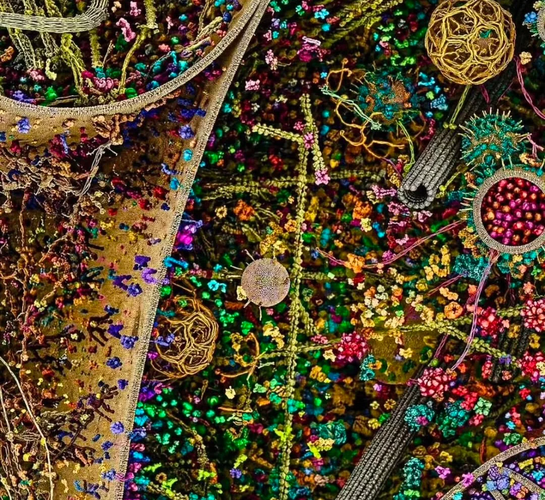 Cutaway 3D rendering of a cell with colorful molecular structures inside a blue membrane on a black background